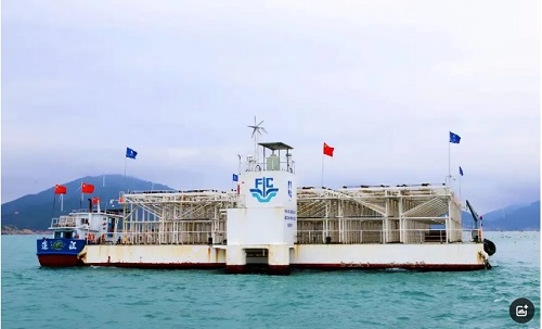 人民日報頭版頭條！福建做大做強海洋經(jīng)濟