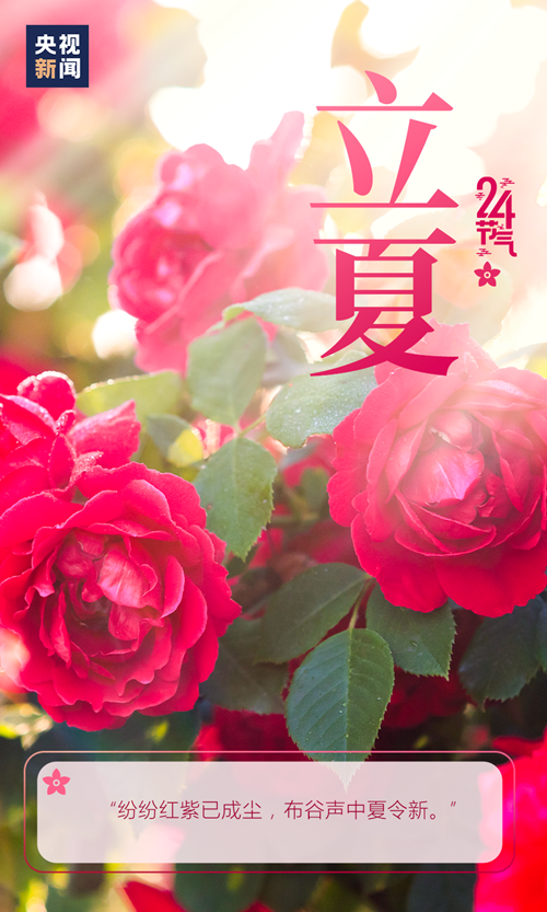 【網(wǎng)絡(luò)中國節(jié)·立夏】你好,，夏天！