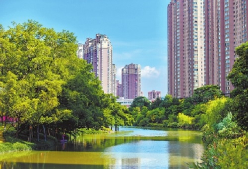 “飛花逐流水”再現(xiàn)流花溪