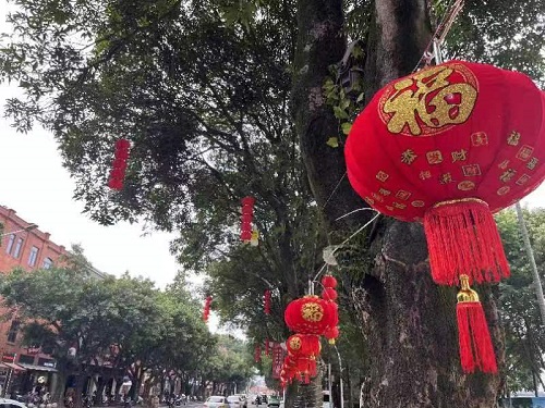 倉山處處“中國紅”　燈火璀璨年味濃