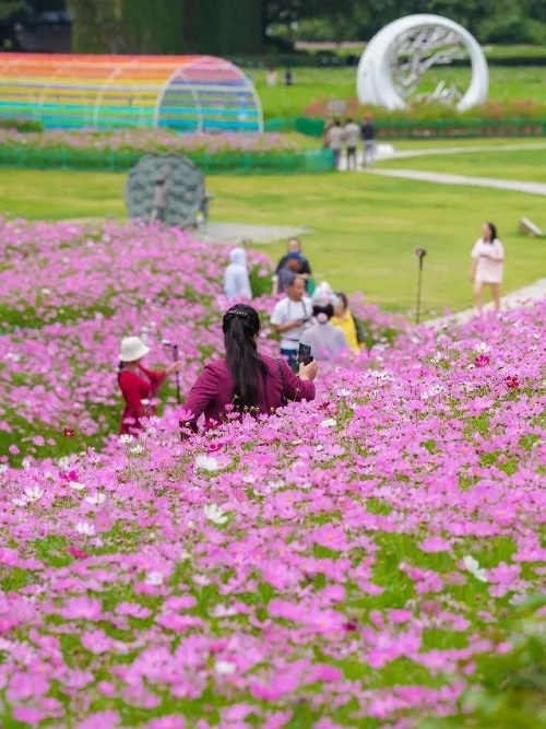 超出片,！福州這個公園“上新”！