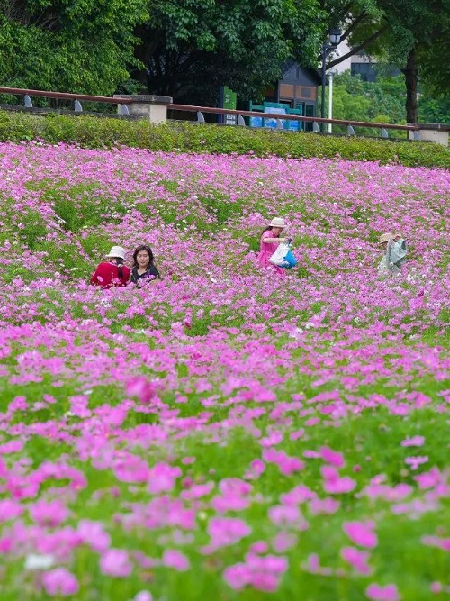 超出片！福州這個公園“上新”,！