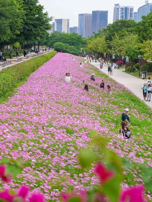 超出片,！福州這個公園“上新”,！