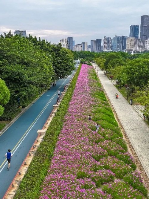 超出片,！福州這個公園“上新”,！