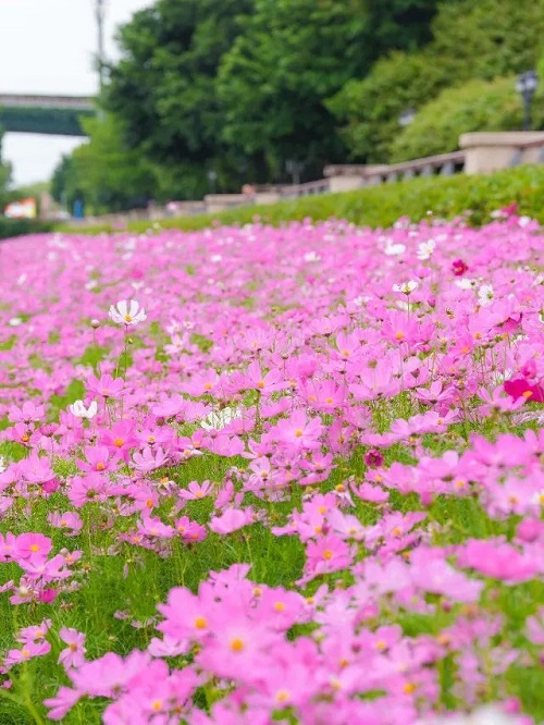 超出片！福州這個公園“上新”,！