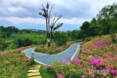 對(duì)標(biāo)國內(nèi)一流！三江口植物園將分四期建設(shè)